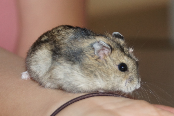 Bild von Mauritz, geb. 14.07.2019